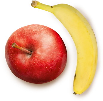 imagem quinoa